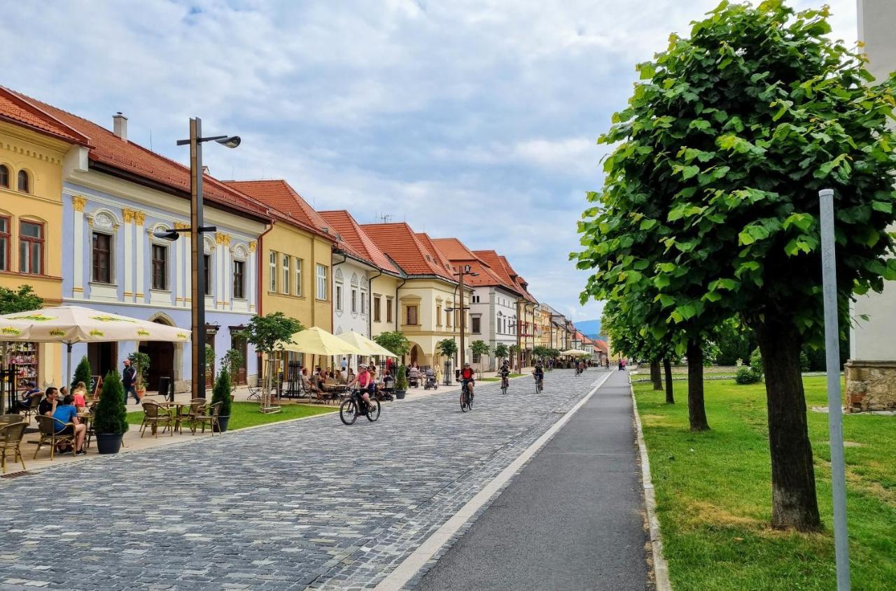 Historical House In The Center Levoca With Parking Apartment Exterior photo