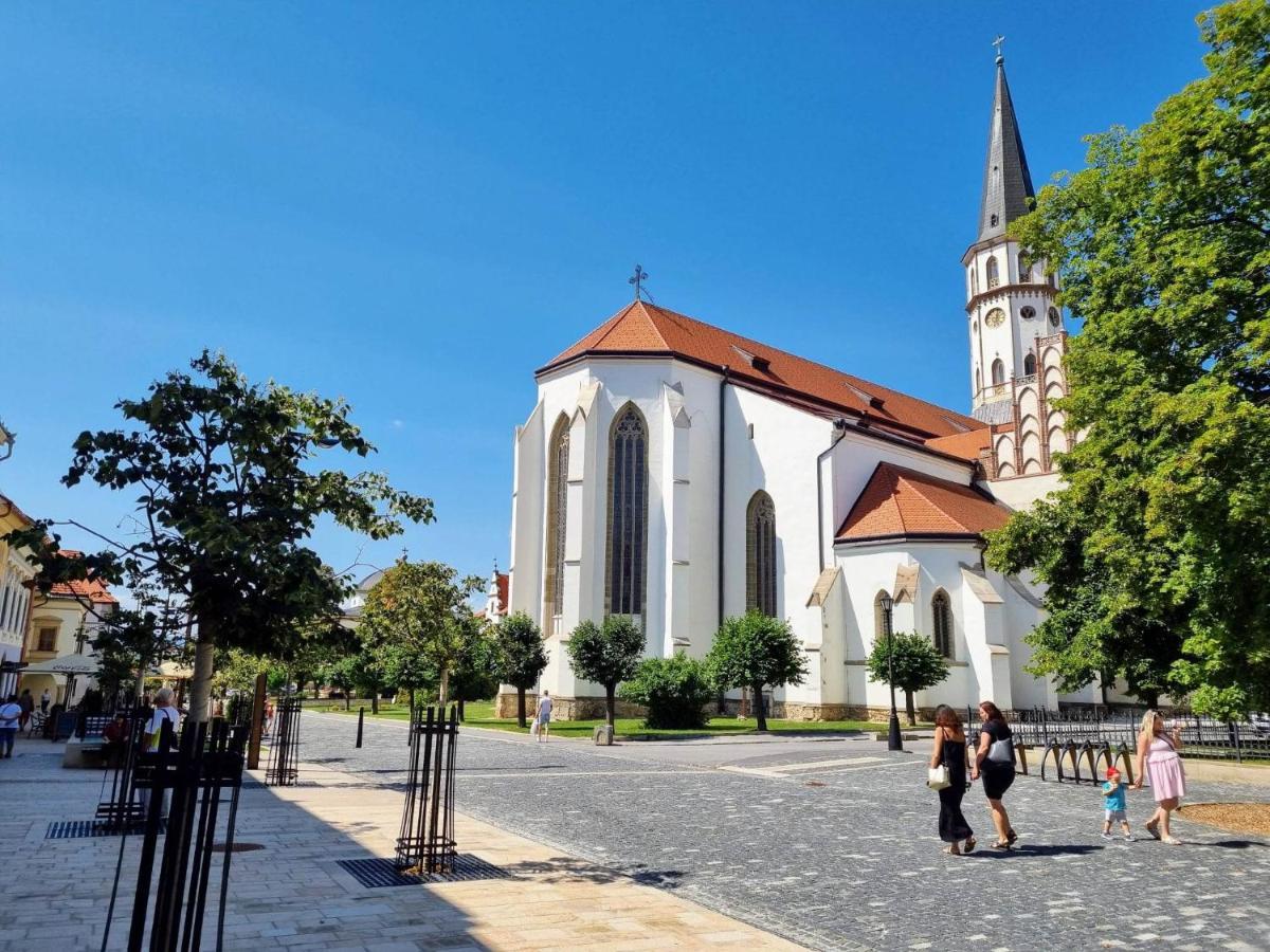Historical House In The Center Levoca With Parking Apartment Exterior photo